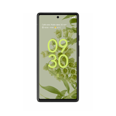 Google PIXEL 6